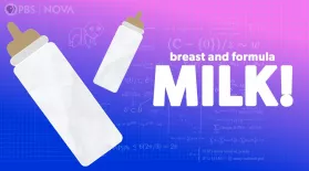 The Science of Breastmilk and Formula: asset-mezzanine-16x9