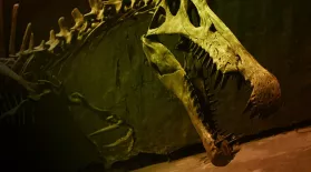 Bigger Than T. rex: asset-mezzanine-16x9
