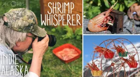 Where are they now? The Shrimp Whisperer: asset-mezzanine-16x9