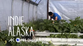 From Mammoth to Kale: A look into gardening in the Arctic: asset-mezzanine-16x9