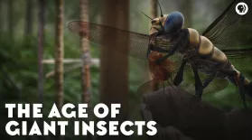 The Age of Giant Insects: asset-mezzanine-16x9