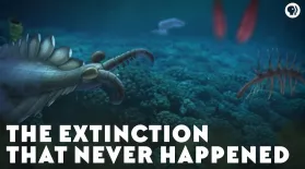 The Extinction That Never Happened: asset-mezzanine-16x9