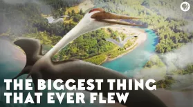 The Biggest Thing That Ever Flew: asset-mezzanine-16x9