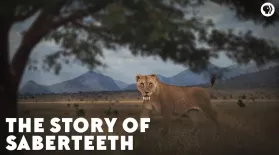 The Story of Saberteeth: asset-mezzanine-16x9