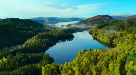 The Creation of 'Trees for Life' to Rewild Scotland: asset-mezzanine-16x9