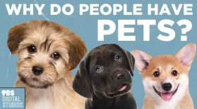 Why Do People Have Pets?: asset-mezzanine-16x9