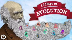 The 12 Days of Evolution - Complete Series!: asset-mezzanine-16x9