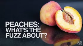 PEACHES: What's the Fuzz About?: asset-mezzanine-16x9