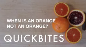 When is an Orange Not an Orange?: asset-mezzanine-16x9