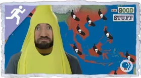 Will Bananas be Wiped Out By Disease?: asset-mezzanine-16x9