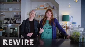 What's up with Kimchi and Kombucha?: asset-mezzanine-16x9