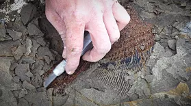 Fossil Discovery Could Offer Glimpse into Day the Dinos Died: asset-mezzanine-16x9