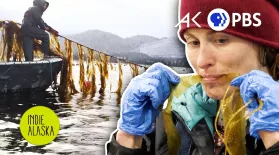 Could Seaweed Help Save the Planet? | INDIE ALASKA: asset-mezzanine-16x9