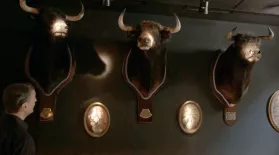 Bonus Scene: Bar Canete's Bulls: asset-mezzanine-16x9
