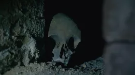 The Mystery Skull in The Crypt: asset-mezzanine-16x9
