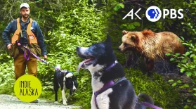 The Karelian Bear Dog: Protecting people and bears: asset-mezzanine-16x9