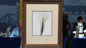 Appraisal: 1931 Dain Tasker "X-ray of a Lily" Photo: asset-mezzanine-16x9
