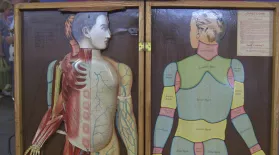 Appraisal: Anatomy Manikin, ca. 1888: asset-mezzanine-16x9