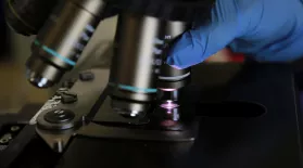 What Makes Science True?: asset-mezzanine-16x9