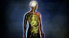 What is the Endocannabinoid System?: asset-mezzanine-16x9
