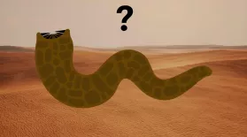 Could a "Dune" Sandworm Exist in Real Life?: asset-mezzanine-16x9