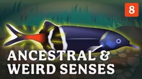 Ancestral & Weird Senses: asset-mezzanine-16x9