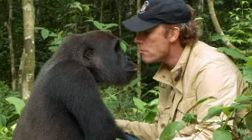 Gorilla Reunites with Old Friend : asset-mezzanine-16x9