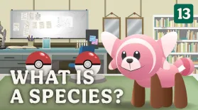What is a Species?: asset-mezzanine-16x9