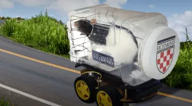 This Rat Can Drive a Car?: asset-mezzanine-16x9