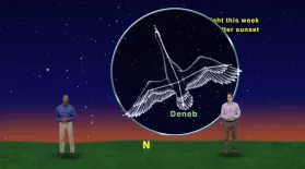 "Cygnus The Spectacular Swan" Sept 28th-Oct 4th 1 min : asset-mezzanine-16x9