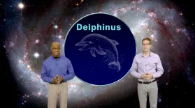 "Daring Delphinus" Aug 1-7th 1 Min: asset-mezzanine-16x9