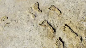 Ice Age Footprints: asset-mezzanine-16x9