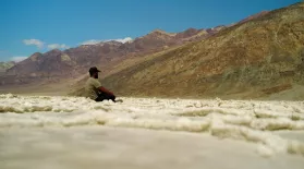 Death Valley: Life Blooms: asset-mezzanine-16x9