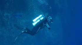 Shark Island Dive Testing: asset-mezzanine-16x9