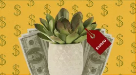Understory | How the Houseplant Boom Fueled Plant Poaching: asset-mezzanine-16x9