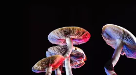 Can Psychedelics Cure?: asset-mezzanine-16x9