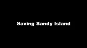 Saving Sandy Island: asset-mezzanine-16x9