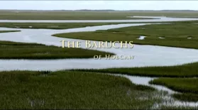 The Baruchs of Hobcaw: asset-mezzanine-16x9