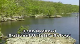 Crab Orchard National Wildlife Refuge (1991): asset-mezzanine-16x9