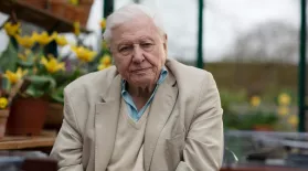Preview of Attenborough's Wonder of Song: asset-mezzanine-16x9