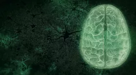 Your Brain: Who's in Control? Preview: asset-mezzanine-16x9