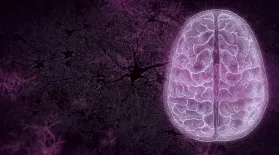 Your Brain: Perception Deception Preview: asset-mezzanine-16x9
