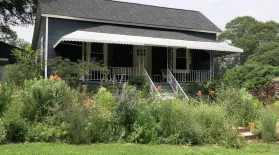 Mary Vargo's Pollinator Garden: asset-mezzanine-16x9