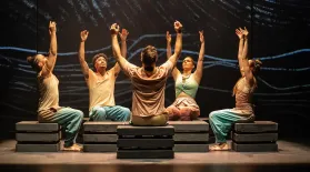 Kate Prince's ZooNation Performs to Fields of Gold by Sting: asset-mezzanine-16x9