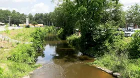 Sal's Ol' Timey Feed & Seed, Gills Creek Watershed: asset-mezzanine-16x9