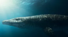 Discovering the Secrets of a Jurassic Sea Monster: asset-mezzanine-16x9