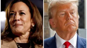 News Wrap: Harris, Trump campaign in election’s home stretch: asset-mezzanine-16x9
