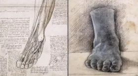 Leonardo da Vinci Investigates the Human Body: asset-mezzanine-16x9