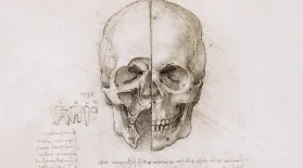 The Vitruvian Man and Leonardo da Vinci's Anatomical Studies: asset-mezzanine-16x9