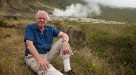 Attenborough’s Life Journey: asset-mezzanine-16x9